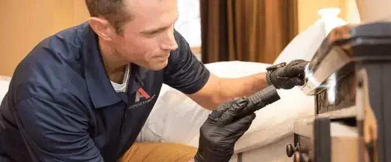 Bed Bug Treatment — Definity Pest Services in Dallas–Fort Worth Metroplex