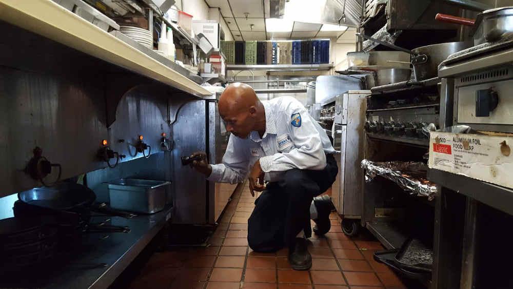 Commercial Pest Control — Definity Pest Services in Dallas–Fort Worth Metroplex