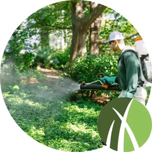 Flea & Tick Control — Definity Pest Services in Dallas–Fort Worth Metroplex