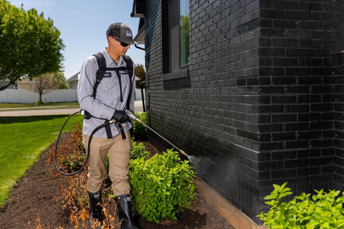 General Pest Control — Definity Pest Services in Dallas–Fort Worth Metroplex