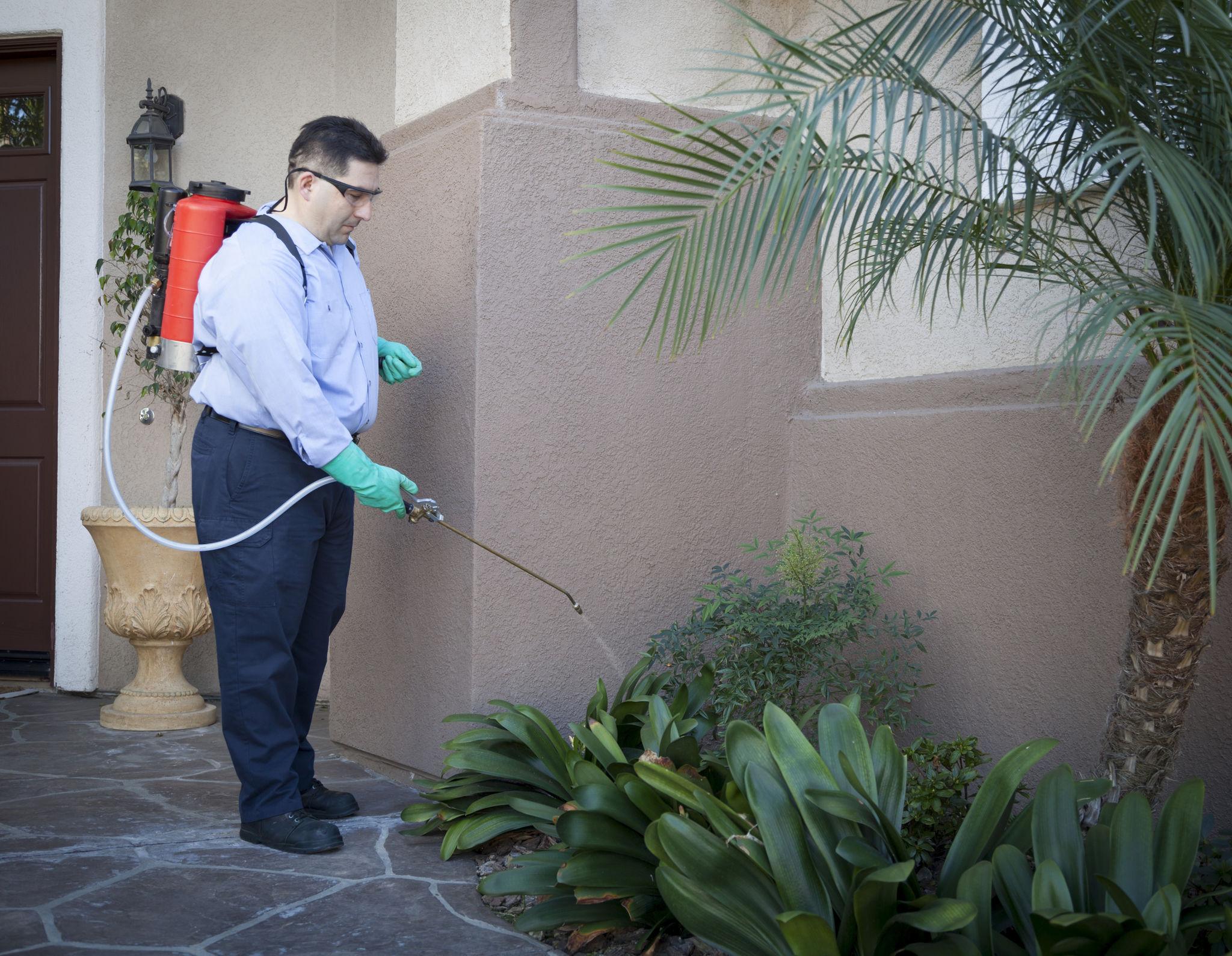 General Pest Control — Definity Pest Services in Dallas–Fort Worth Metroplex