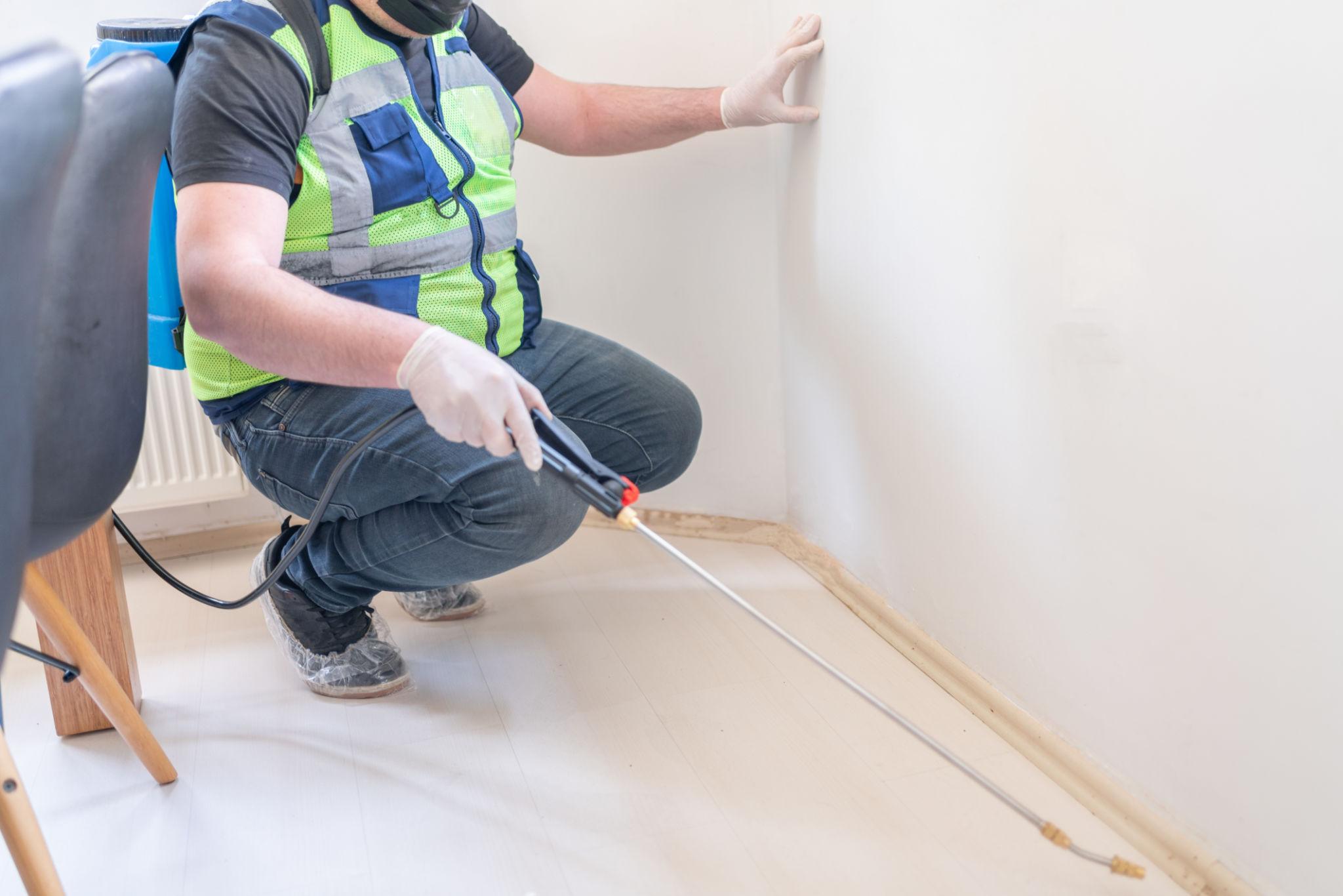 General Pest Control — Definity Pest Services in Dallas–Fort Worth Metroplex