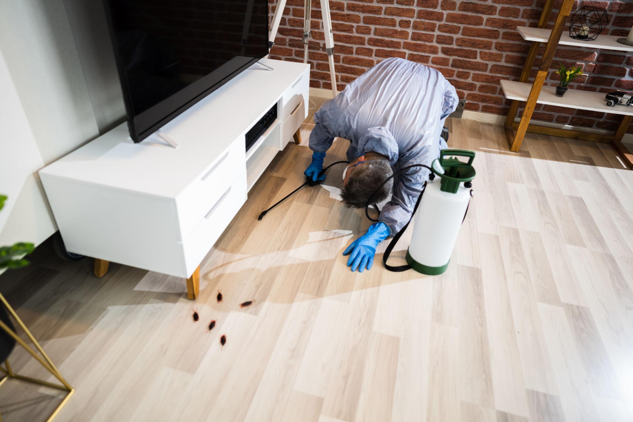 General Pest Control — Definity Pest Services in Dallas–Fort Worth Metroplex