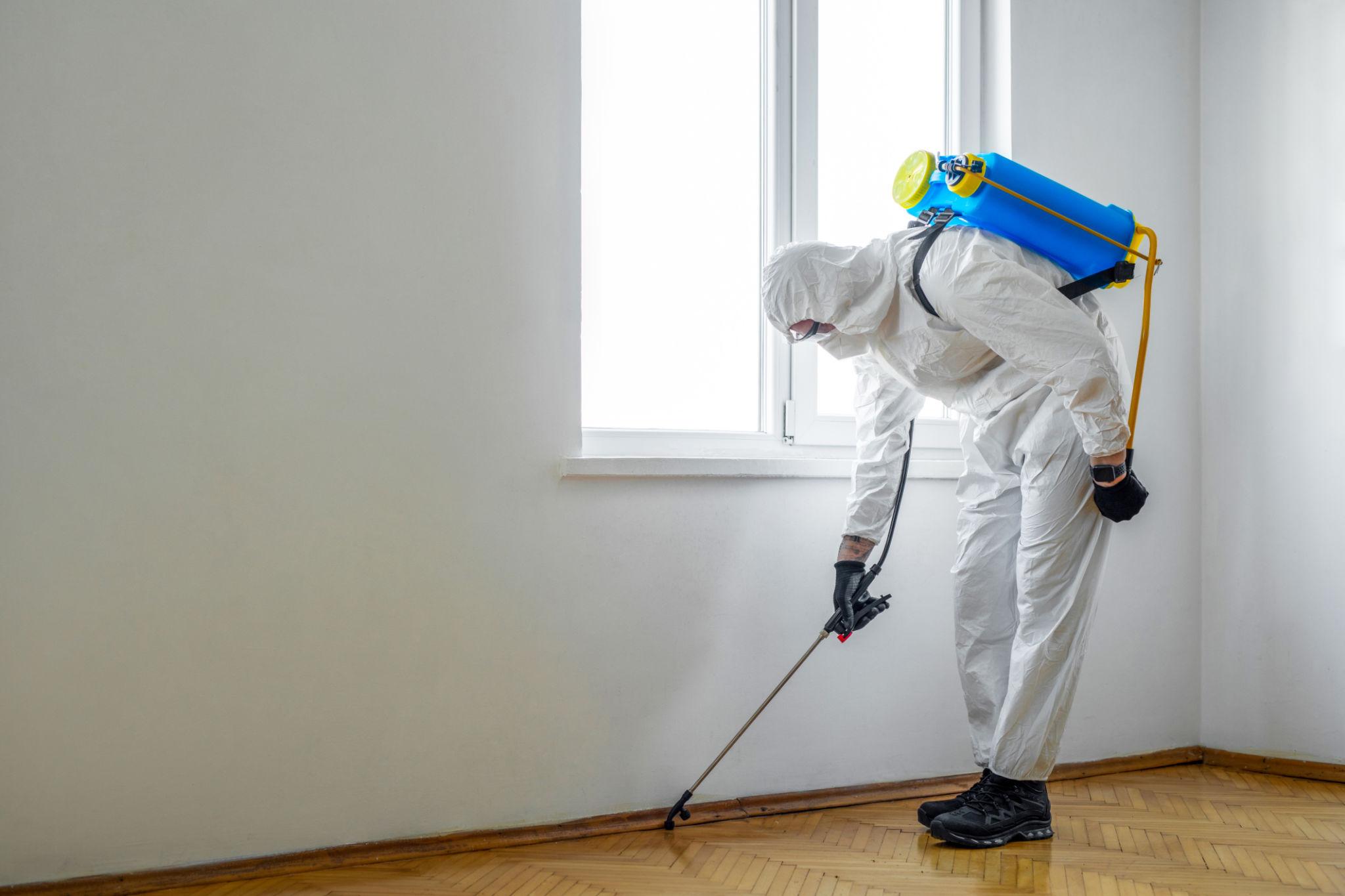 General Pest Control — Definity Pest Services in Dallas–Fort Worth Metroplex