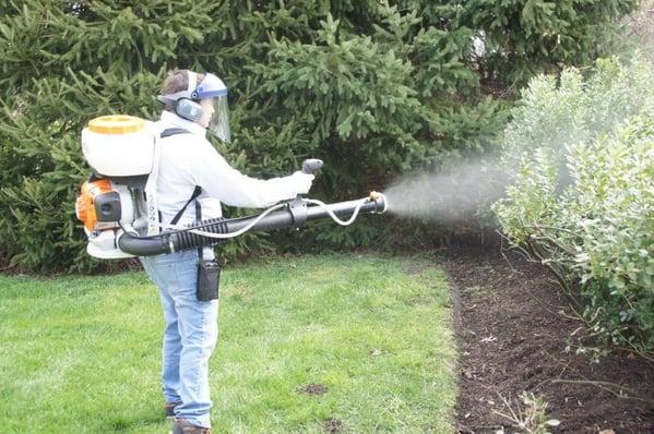 Mosquito Control — Definity Pest Services in Dallas–Fort Worth Metroplex