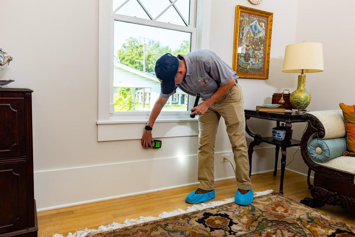Termite Control & Treatment — Definity Pest Services in Dallas–Fort Worth Metroplex