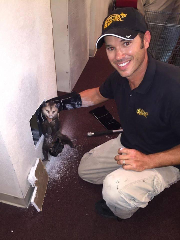 Wildlife Removal — Definity Pest Services in Dallas–Fort Worth Metroplex