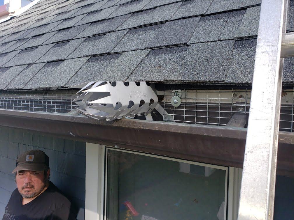 Wildlife Removal — Definity Pest Services in Dallas–Fort Worth Metroplex